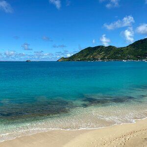 Meet your Posher, Abigail